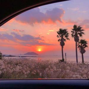 亚洲国产成人无码影片在线播放
